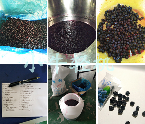 藍(lán)莓真空浸糖